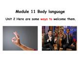 初中英语外研版九年级上册Module 11 Unit 2 课件