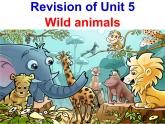 Unit5 Wild animals Revision复习课件 译林版英语八年级上册