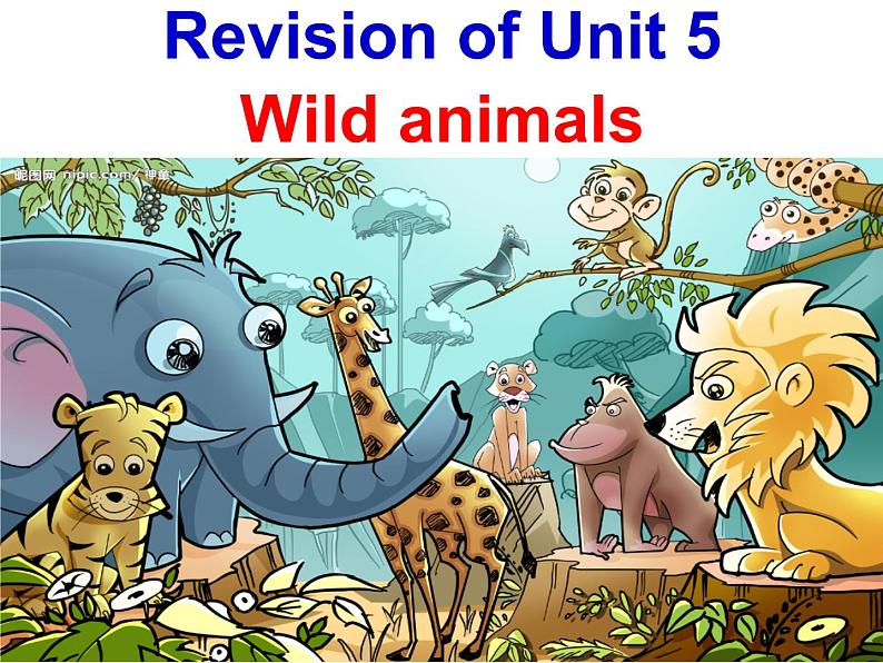 Unit5 Wild animals Revision复习课件 译林版英语八年级上册01