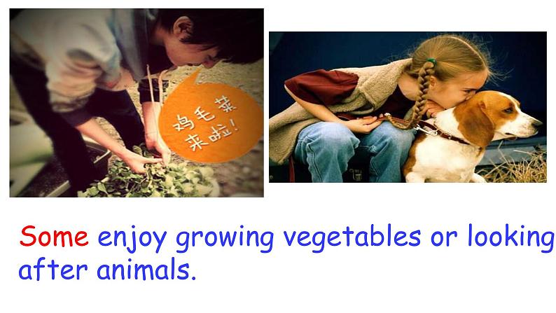 八年级下册  Module 6 Hobbies  Unit 2 Hobbies can make you grow as a person.课件第7页