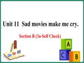 Unit 11 Section B(3a-Self Check)（课件+教案+素材）-2022-2023学年九年级英语人教版全册