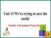 Unit 13 Section A(Grammar Focus-4c)（课件+教案+素材）-2022-2023学年九年级英语人教版全册