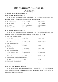 湖北省武汉市解放中学2022-2023学年上学期11 月独立作业七年级英语试卷(含答案)