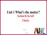 Unit1 SectionB(3a-self check)课件——2022-2023学年人教版英语八年级下册