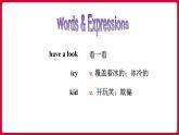 Unit5 SectionA (Grammar Focus-4c)课件——2022-2023学年人教版英语八年级下册