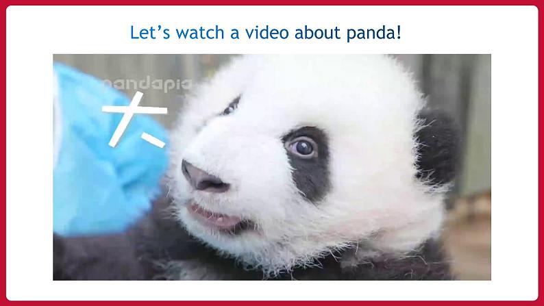 Unit 7 Section B (1a-1d)第4页