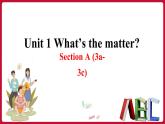 Unit1 SectionA（3a-3c）（课件+素材）——2022-2023学年人教版英语八年级下册