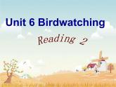 Unit6 Birdwatching Reading2课件 译林版英语八年级上册
