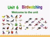Unit6 Birdwatching Welcome to the unit 课件 译林版英语八年级上册