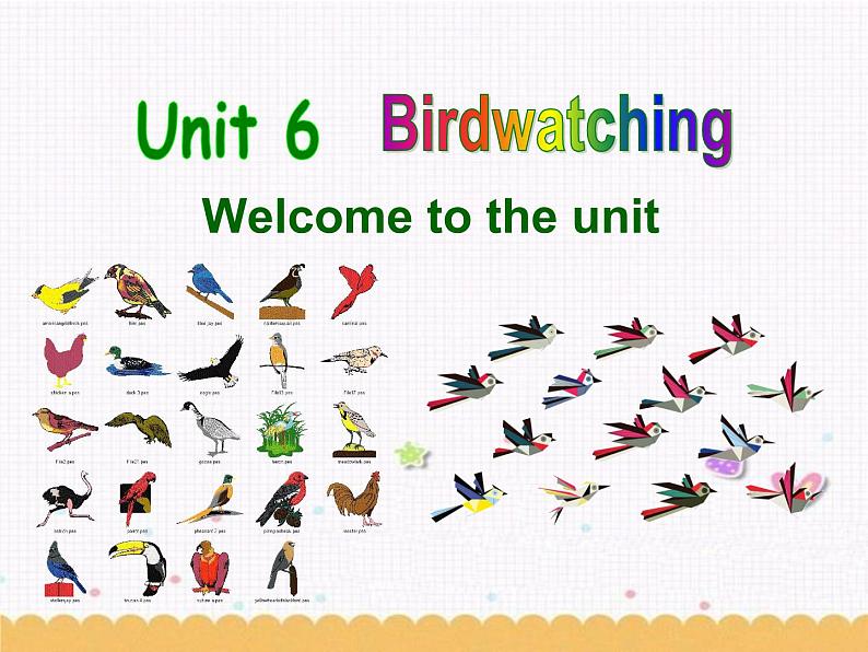 Unit6 Birdwatching Welcome to the unit 课件 译林版英语八年级上册01