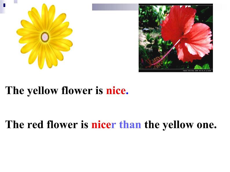 八年级上册  Module 2 My home town and my countryUnit1课件第7页