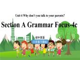 人教英语八下 Unit4第3课时（SectionA Grammar Focus-4c） PPT课件