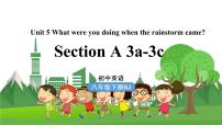 人教新目标 (Go for it) 版八年级下册Section A图片ppt课件