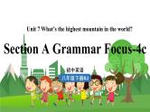 人教英语八下 Unit7第3课时（SectionA Grammar Focus-4c） PPT课件