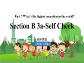人教英语八下 Unit7第6课时（SectionB 3a-Self check） PPT课件