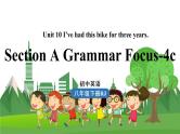 人教英语八下 Unit10第3课时（SectionA Grammar Focus-4c） PPT课件