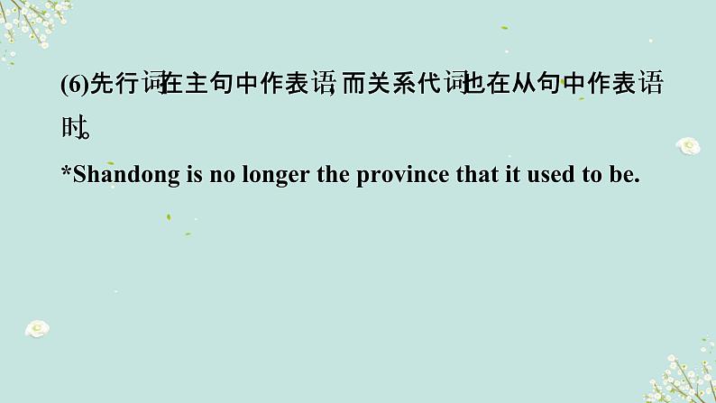 1.13 定语从句(含PPT)-备战2023年中考英语一轮复习语法知识+语篇能力双清(通用版)05