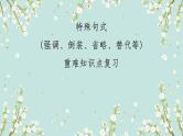 1.15 特殊句式(倒装、省略、替代等)(含PPT)-备战2023年中考英语一轮复习语法知识+语篇能力双清(通用版)