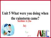Unit5 SectionA（3a-3c）（课件+素材）——2022-2023学年人教版英语八年级下册