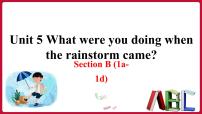 人教新目标 (Go for it) 版八年级下册Unit 5 What were you doing when the rainstorm came?Section B教课课件ppt