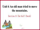 Unit 6 Section B(3a-Self Check)（课件+素材）——2022-2023学年人教版英语八年级下册