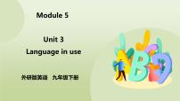 初中英语外研版 (新标准)九年级下册Unit 3 Language in use.精品ppt课件