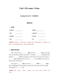 人教新目标 (Go for it) 版七年级上册Section B优秀习题