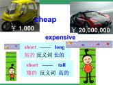 七年级下册Module 4 Life in the futureUnit 2 Every family will have a small plane.课件