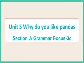 Unit 5 Section A Grammar Focus-3c 课件