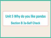 Unit 5 Section B 3a-Self Check 课件