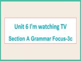 Unit 6 Section A Grammar Focus-3c 课件