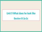 Unit 9 Section B 2a-2c 课件+素材