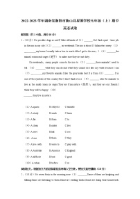 湖南省衡阳市衡山县星源学校2022-2023学年七年级上学期期中英语试卷(含答案)