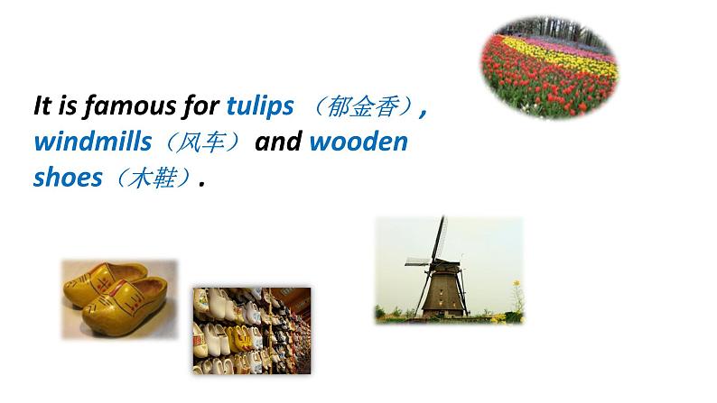 八年级上册Module 4 Planes, ships and trains .Unit 2 What is the best way to travel.课件06