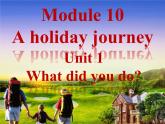 七年级下册  Module 10 A holiday journey  Unit 1 What did you do课件