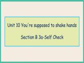 Unit 10 Section B 3a-Self Check 课件+教案