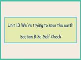 Unit 13 Section B 3a-Self Check 课件+教案