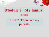 外研版初中英语七年级上册《Module 2》Unit2 第三课时  课件