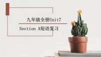 人教新目标 (Go for it) 版九年级全册Section A复习ppt课件