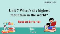 人教新目标 (Go for it) 版八年级下册Section B课前预习ppt课件