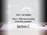 [仁愛版]英語八年級上冊Unit 3 Topic 3  Section C 課件