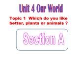 [仁爱版]英语八年级上册Unit 4 Topic 1  Section A 课件