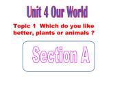 [仁愛(ài)版]英語(yǔ)八年級(jí)上冊(cè)Unit 4 Topic 1  Section A 課件