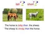 [仁愛(ài)版]英語(yǔ)八年級(jí)上冊(cè)Unit 4 Topic 1  Section A 課件