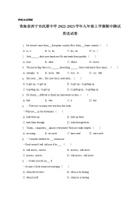 青海省西宁市沈那中学2022-2023学年九年级上学期期中测试 英语试卷(含答案)