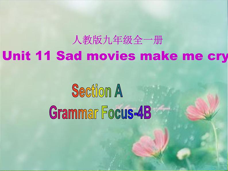 Unit 11  Section A Grammar Focus4a-4b课件2021-2022学年人教版九年级英语全一册01