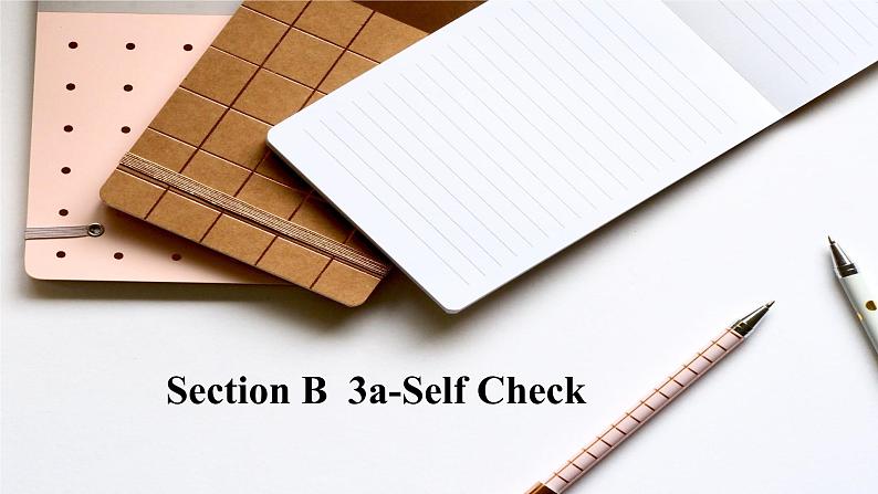 Unit 11 Section B  3a-Self Check 课件 2022-2023学年人教版九年级英语全册第2页