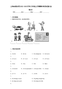 上海市嘉定区2022-2023学年八年级上学期期中英语试题(含答案)