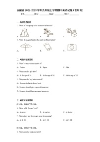 安徽省2022-2023学年九年级上学期期中英语试题(含答案)