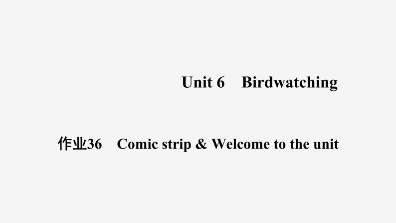 牛津译林版八年级英语上unit6 Comic strip & Welcome to the unit习题课件ppt01